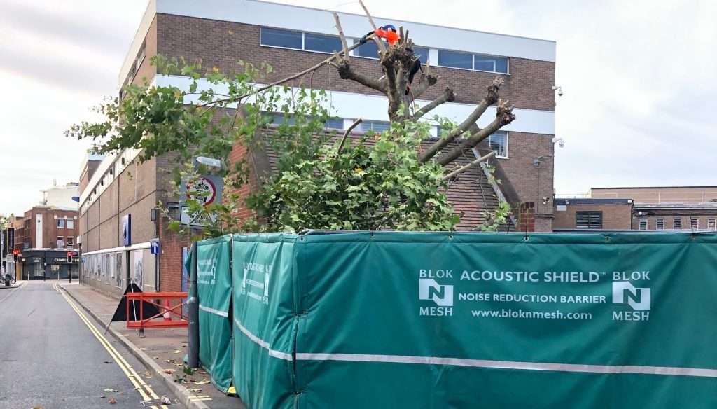 Urban tree clearance for Marlborough Highways with a worker removing large branches near a commercial building.