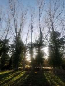 3PHOTO 2020 02 20 09 41 11