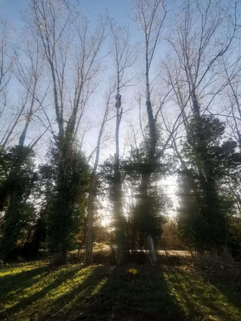 3PHOTO 2020 02 20 09 41 11