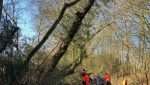 IMG 1397 e1584446398588 Workers clearing a fallen tree while assisting Highways England in the aftermath of Storm Ciara.