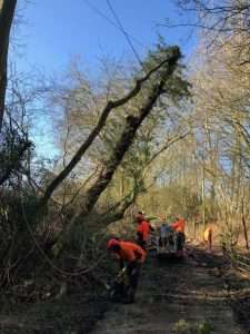 Workers clearing a fallen tree while assisting Highways England in the aftermath of Storm Ciara.