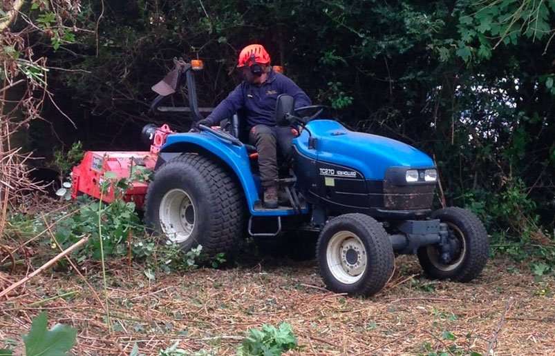Commercial site clearance in progress with a worker using a blue tractor to remove overgrown vegetation.