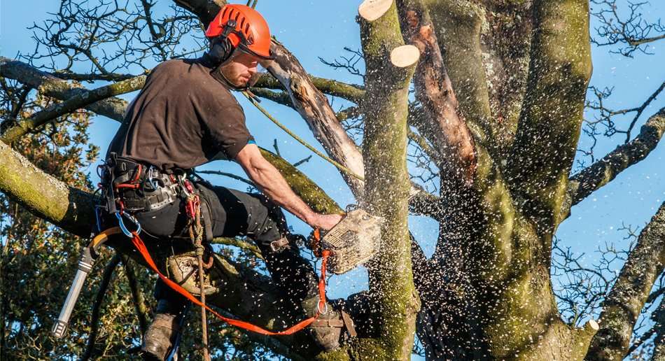 ARB Association Approved Contractor