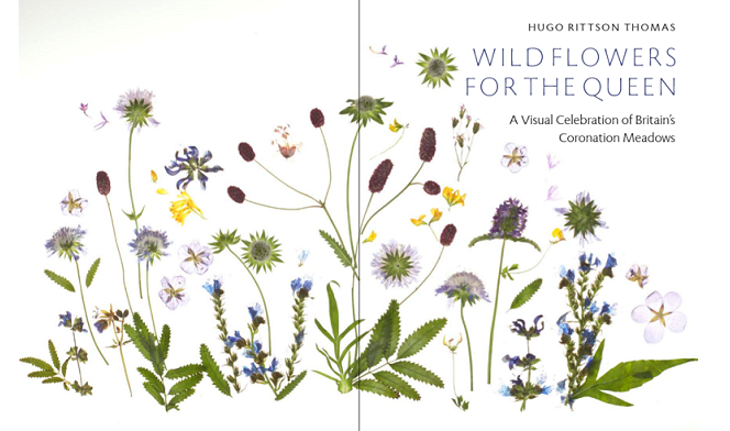 Wildflowers for the Queen jacket 1 Wildflowers for the Queen jacket 1