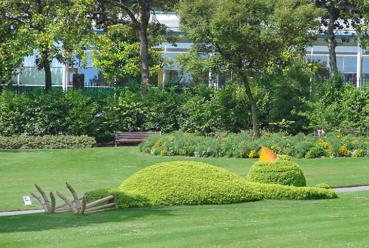 The Art of Topiary