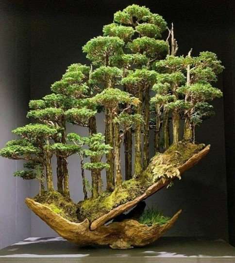 The Art of Topiary