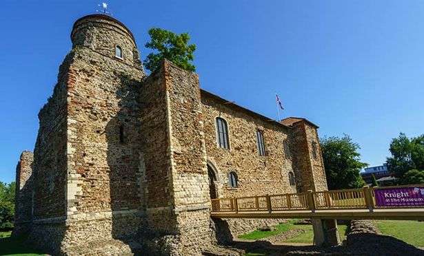 3 Colchester Castle Sycamore from Essex Live website "<yoastmark