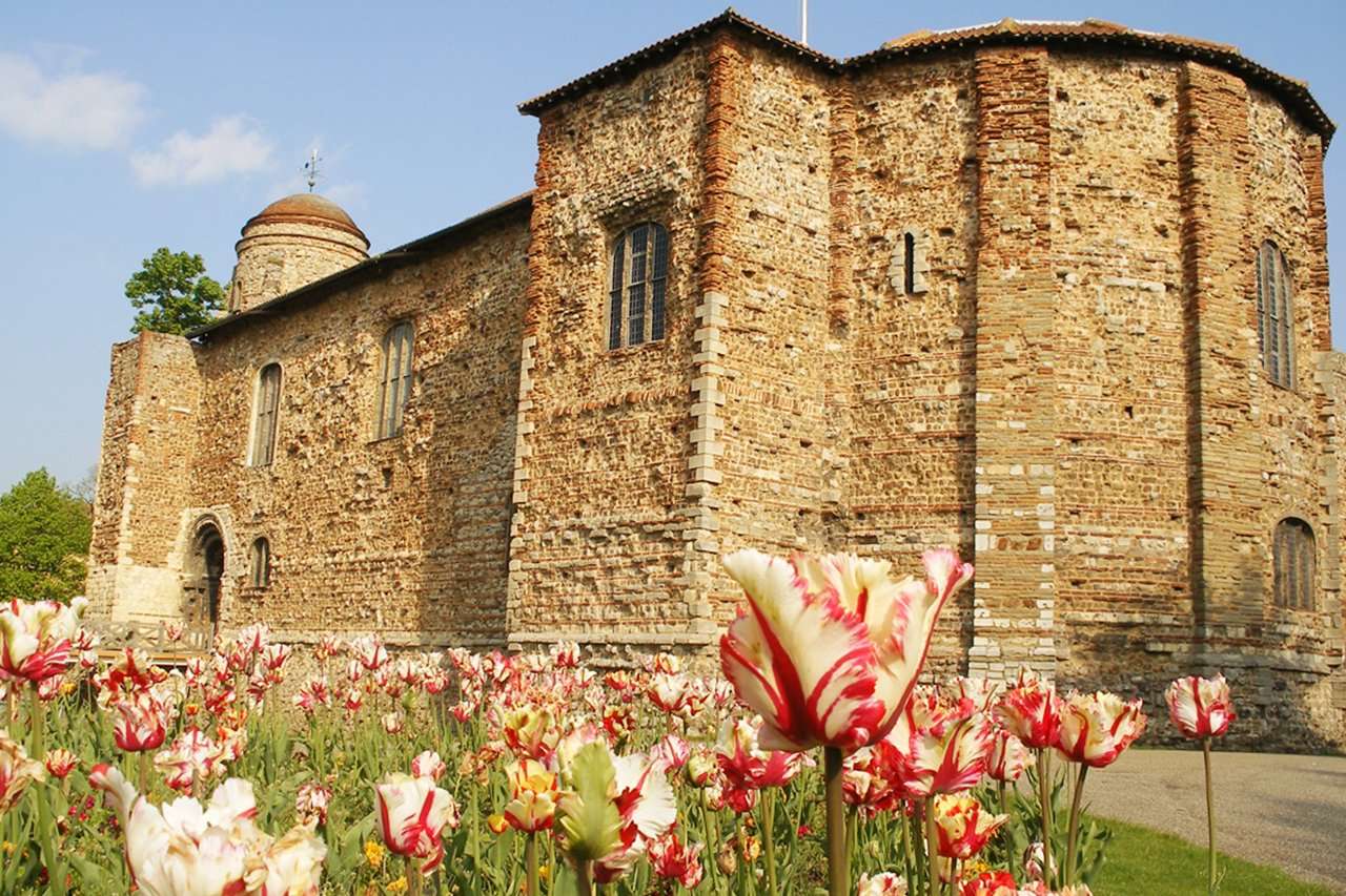 Castle tulips 1 Colchester Museums "<yoastmark