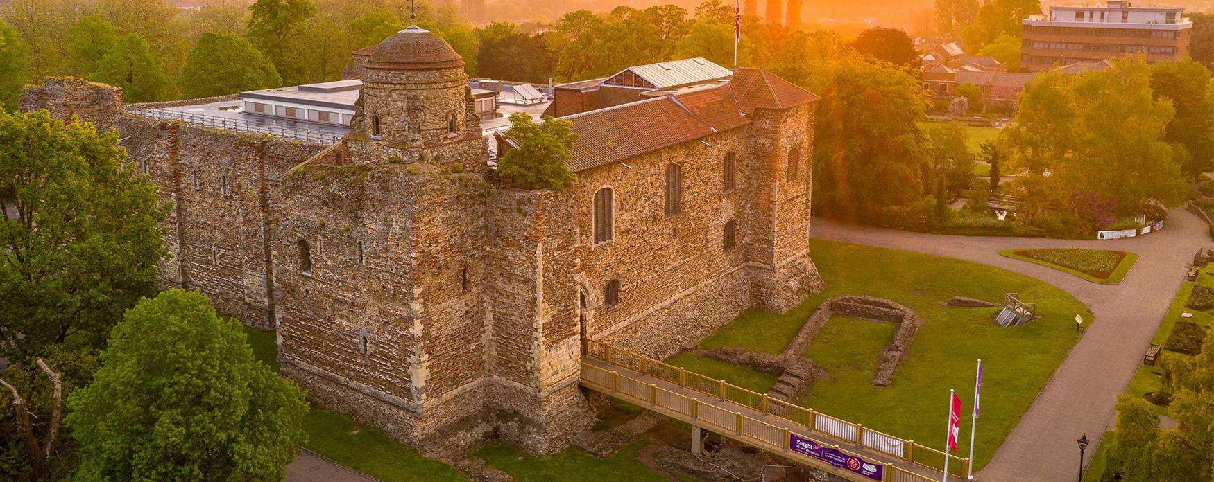 Colchester Castle Sycamore from Visit Essex website "<yoastmark