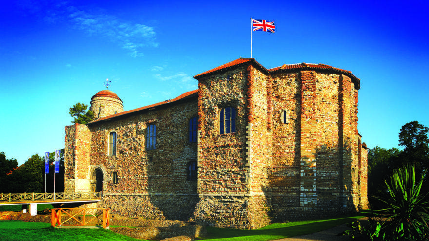 Colchester Castle Sycamore