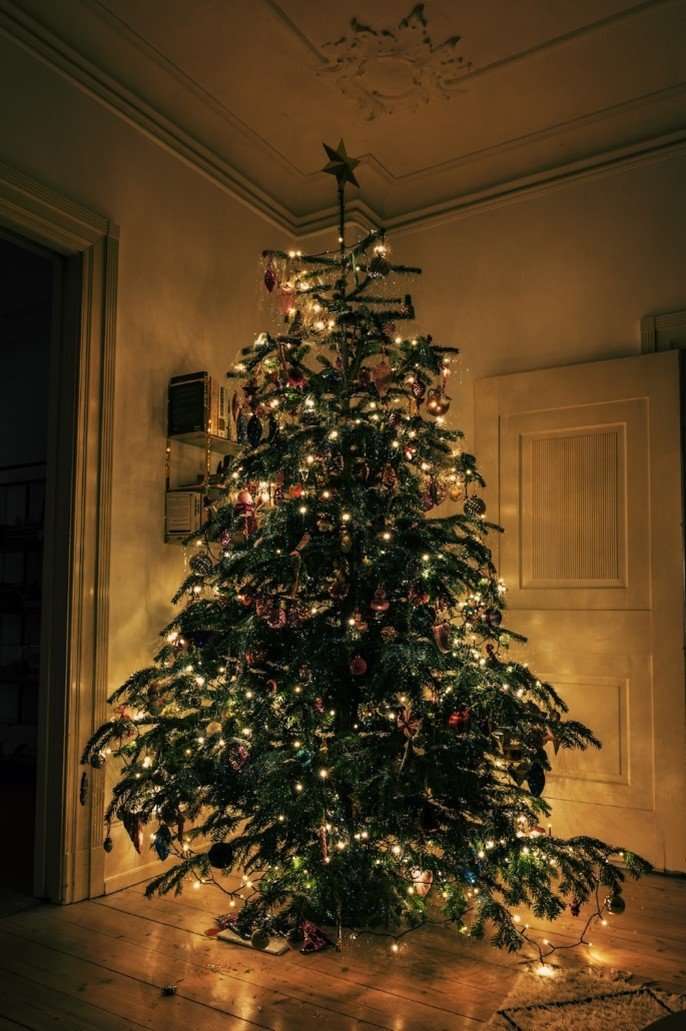 A real Christmas tree in a home setting