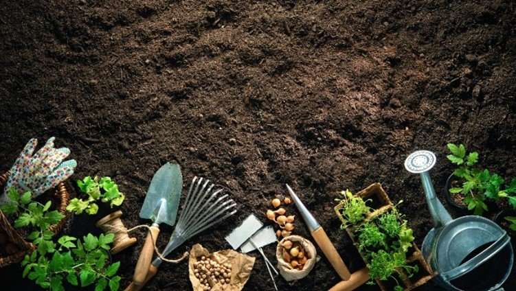 Picture14 Spring vegetable planting