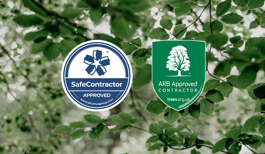 accreditations article accreditations article