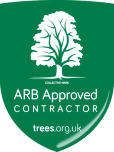 ARB Approved transparent