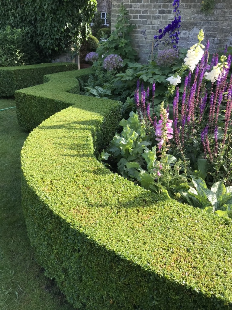 Richard Stone 6 Curved green boxwood hedges frame a colorful flower bed with purple and pink blossoms, set against a brick wall and lush plants.