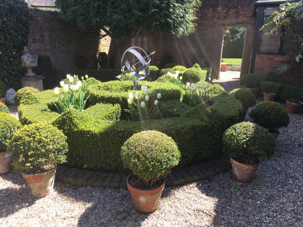 Richard Stone 7 A landscaped garden featuring a round boxwood hedge, white tulips, and a sundial centerpiece amidst gravel paths and terracotta pots.