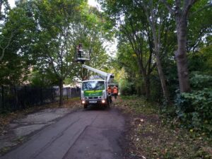 Marlborough Higways footpath clearance 5 Marlborough Higways footpath clearance 5