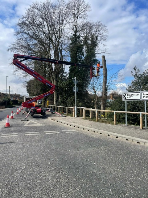 Tree removal operation in Lawford featuring workers in safety gear using a cherry picker, with trees and a road sign in the background.