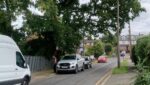 Oak tree management at Rayleigh School, Essex