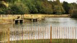 Pond fencing at Beckton District Park, London