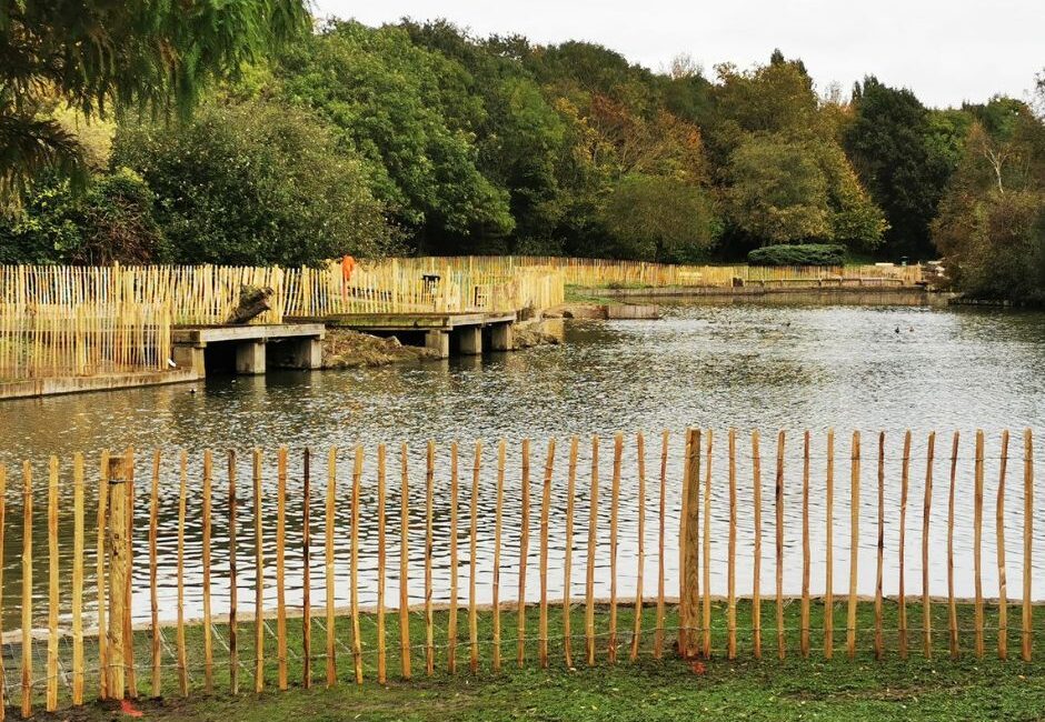 pond fencing Pond fencing at Beckton District Park, London