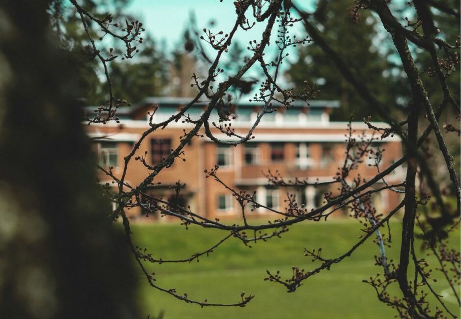 schools prioritise grounds maintenance christmas Schools prioritise grounds maintenance at Christmas