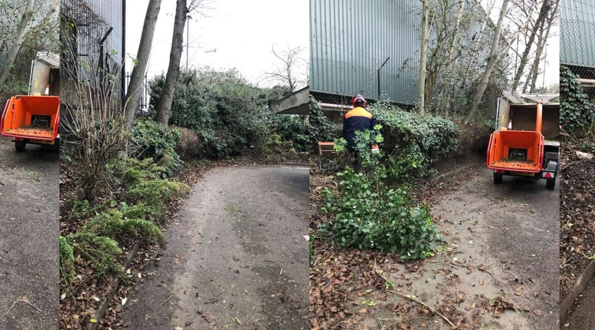 shrub vegetation clearance Shrub and vegetation clearance, London