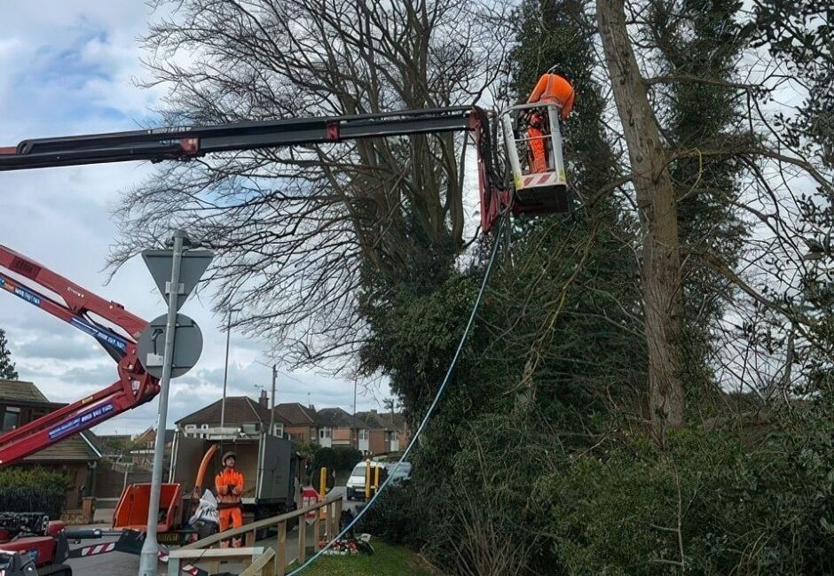 tree removal lawford Tree removal in Lawford, Essex