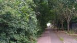 Tree surgery and grounds maintenance for Marlborough Highways, Essex
