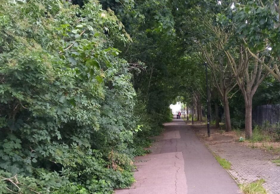 tree surgery grounds maintenance marlborough highways Tree surgery and grounds maintenance for Marlborough Highways, Essex