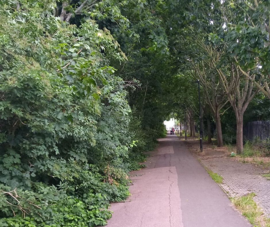 tree surgery grounds maintenance marlborough highways Tree surgery and grounds maintenance for Marlborough Highways, Essex