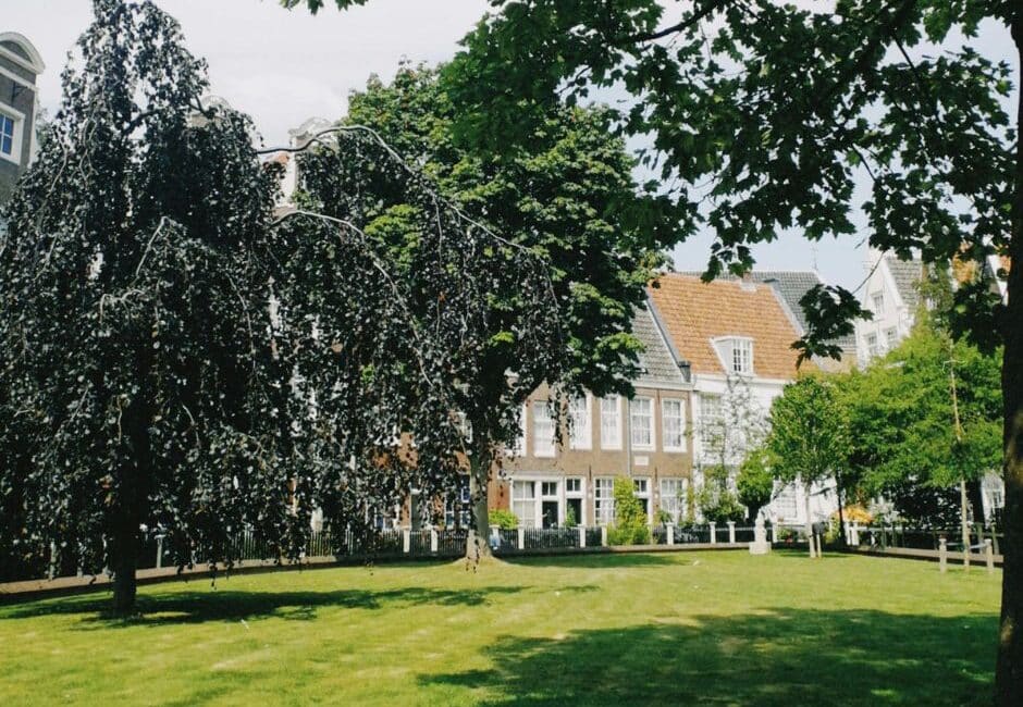 regular grounds maintenance commercial Benefits of Grounds Maintenance for Commercial Properties