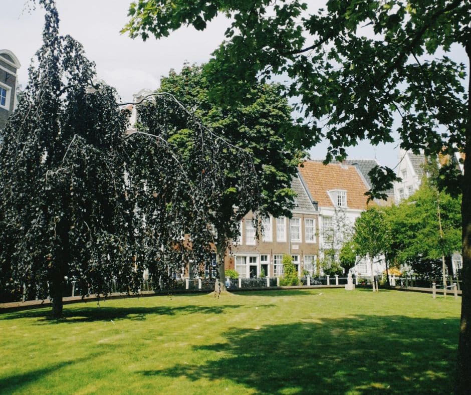 regular grounds maintenance commercial Benefits of Grounds Maintenance for Commercial Properties
