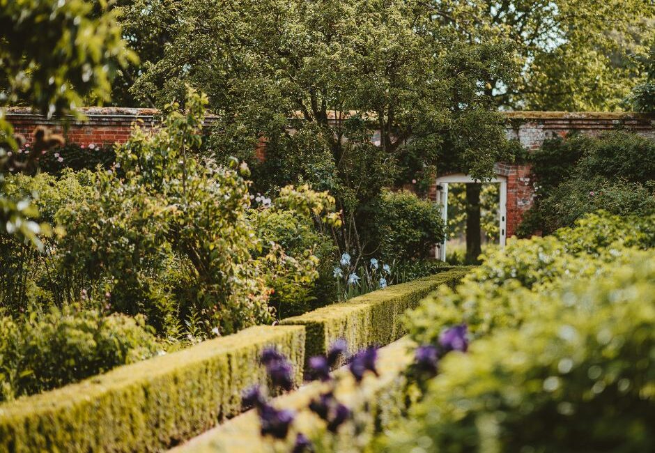 professional hedge pruning Professional hedge pruning in Colchester
