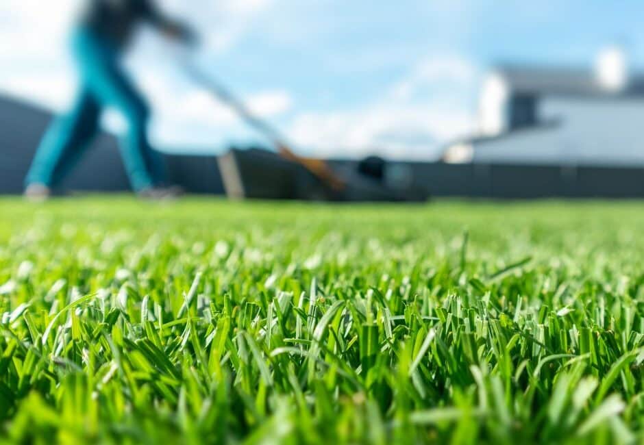 UN SD Instagram Facebook Post 3 5 lawn care mistakes homeowners make in spring