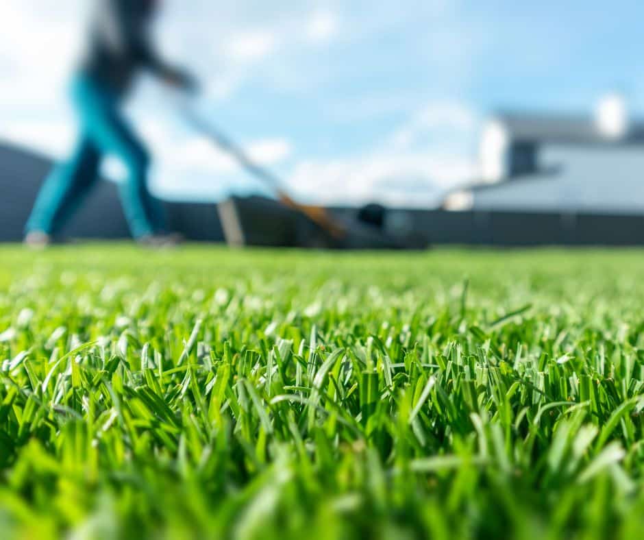 UN SD Instagram Facebook Post 3 5 lawn care mistakes homeowners make in spring