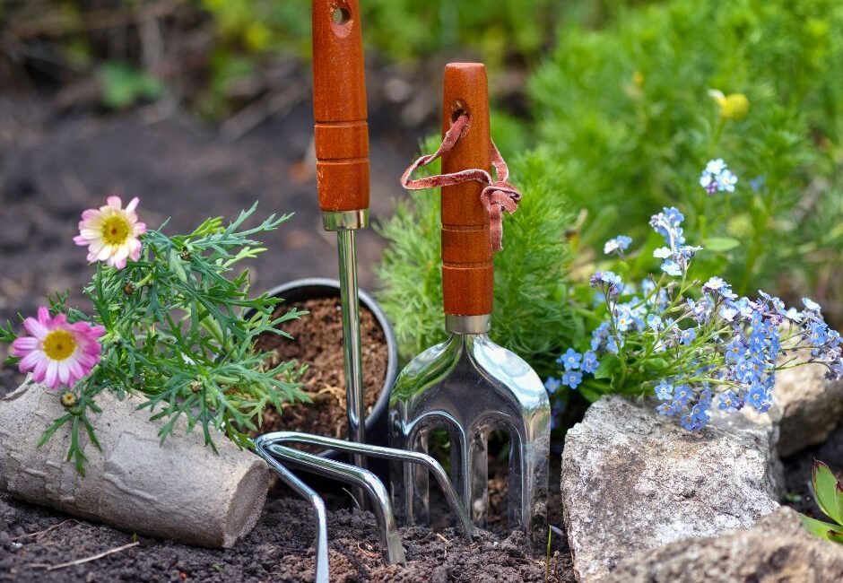 UN SD Instagram Facebook Post 14 Seasonal garden maintenance
