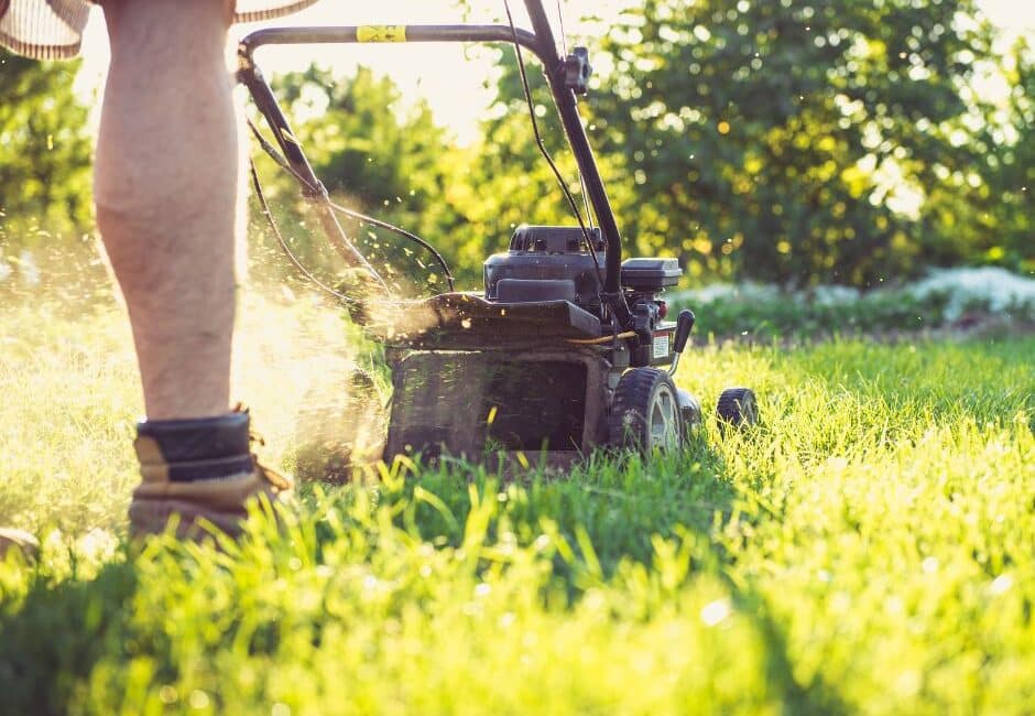 UN SD Instagram Facebook Post 26 Keep Grass and Trees Healthy in Heat Waves