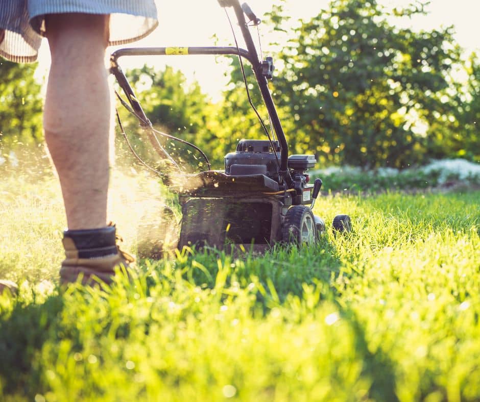 Keep Grass and Trees Healthy in Heat Waves