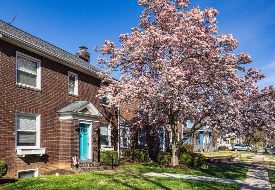 UN SD Instagram Facebook Post 30 Certified Tree Surgeon Benefits Colchester