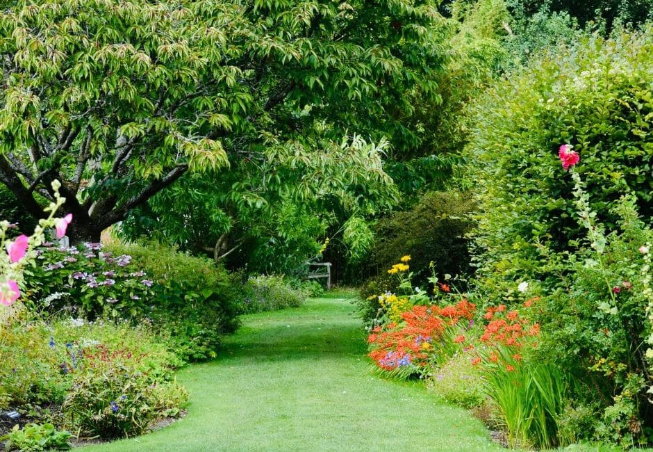 UN SD Instagram Facebook Post 42 Protect your trees and lawn in summer heat