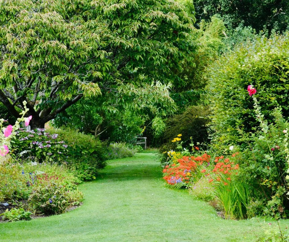 UN SD Instagram Facebook Post 42 Protect your trees and lawn in summer heat