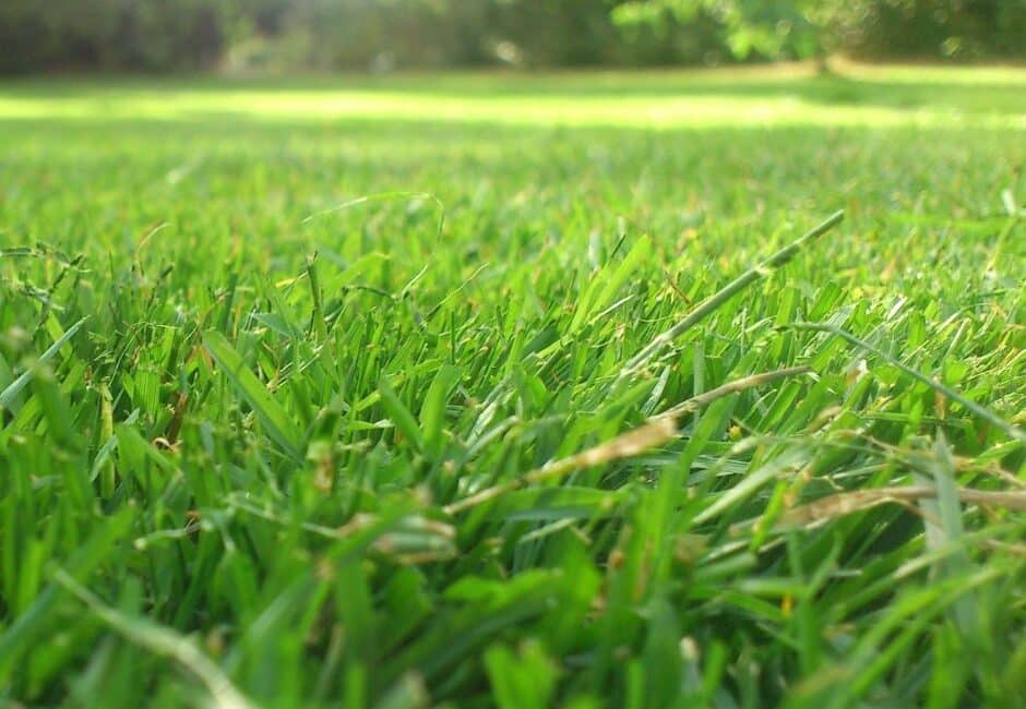 UN SD Instagram Facebook Post 45 5 Signs Your Lawn Needs Professional Care Before Autumn